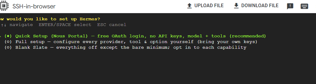 Hermes setup menu open in an SSH-in-browser terminal