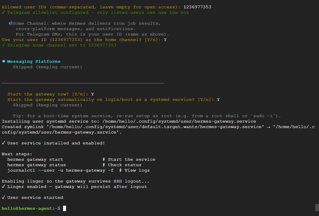 Hermes gateway setup showing a Telegram allowlist and home channel