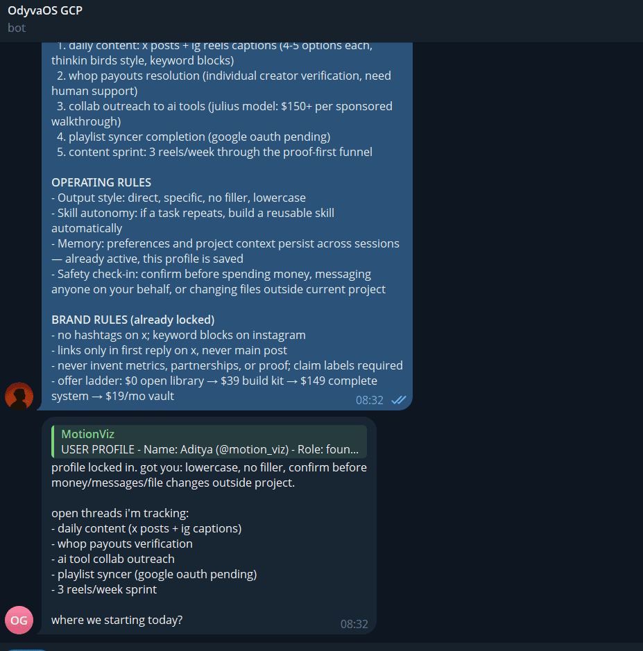 Telegram chat showing a saved user profile and operating rules